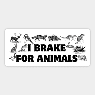 I Brake For Animals, Funny Car Bumper, Animal Lover Bumper Sticker